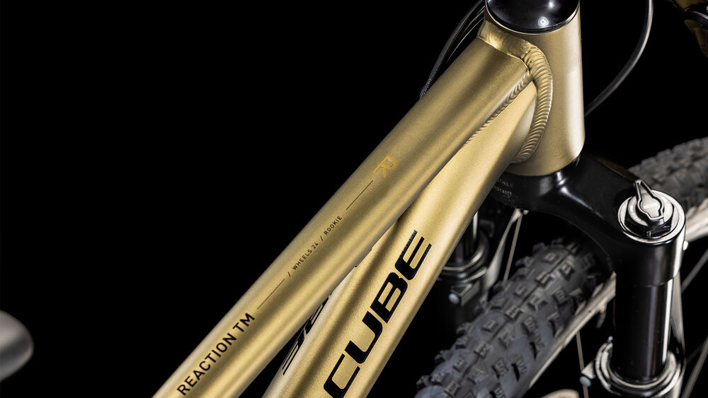 ROWER CUBE REACTION 240 TM ZŁO/CZA 25/26