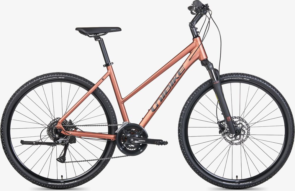 ROWER UNIBIKE FLASH 19 D BRANDY