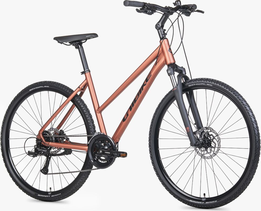 ROWER UNIBIKE FLASH 19 D BRANDY