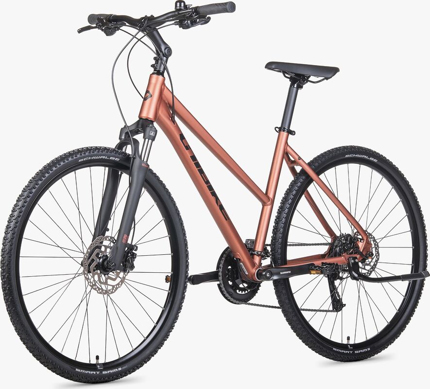 ROWER UNIBIKE FLASH 19 D BRANDY