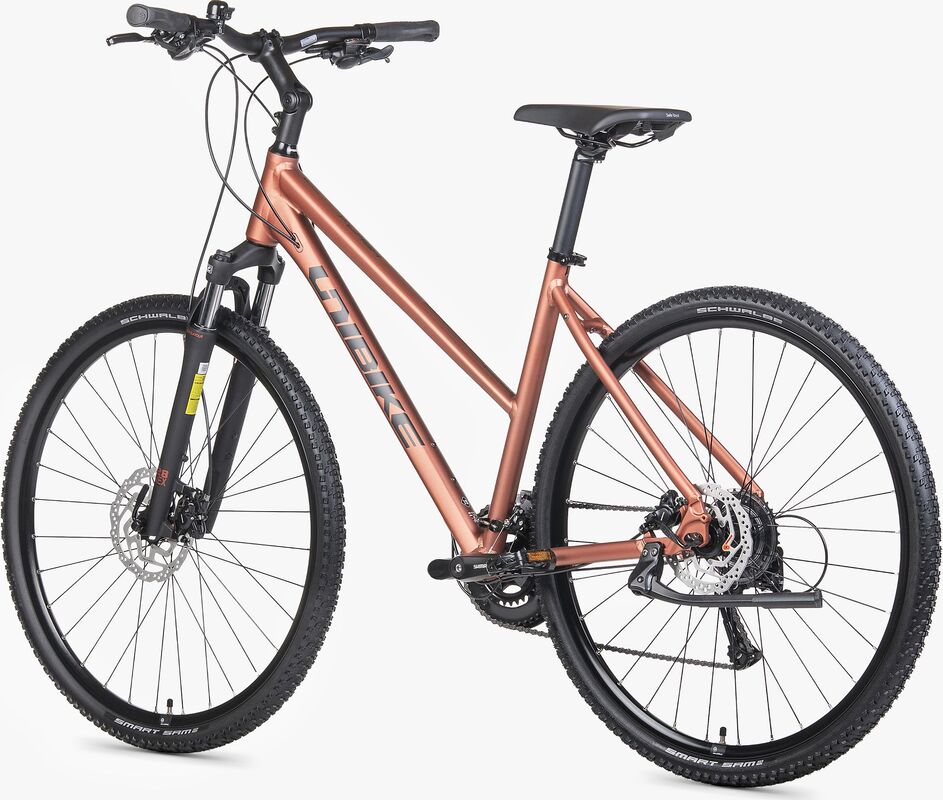 ROWER UNIBIKE FLASH 19 D BRANDY