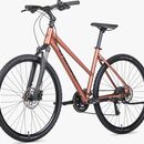 ROWER UNIBIKE FLASH 19 D BRANDY