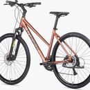 ROWER UNIBIKE FLASH 19 D BRANDY