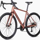 ROWER UNIBIKE TIER 55 BRANDY
