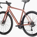 ROWER UNIBIKE TIER 55 BRANDY