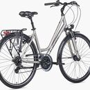 ROWER UNIBIKE VISION 19 D SZAMP